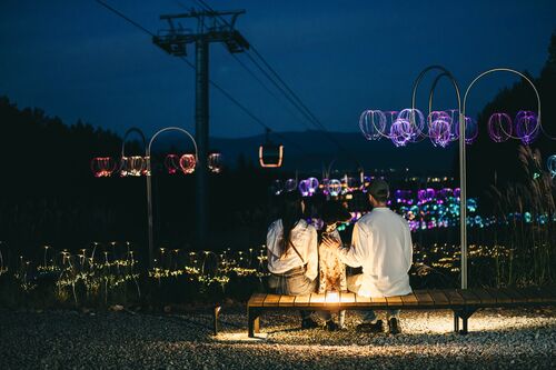 今年が最後の開催！「Mountain Lights」をもっと楽しめる5つの楽しみ方　光る傘や花火、ペットDAYも！