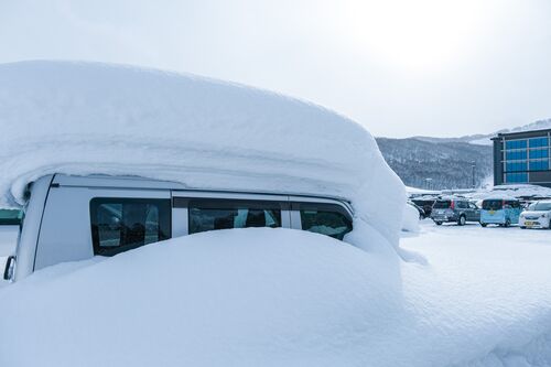 Japow再来！今年も止まらないパウダースノー
