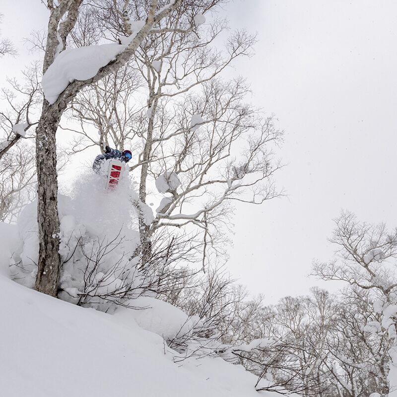 Roxy at Hanazono – Torah Bright and Robin Van Gyn | Hanazono Niseko