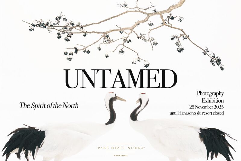 UNTAMED - ルジ・パート冬の展示会
