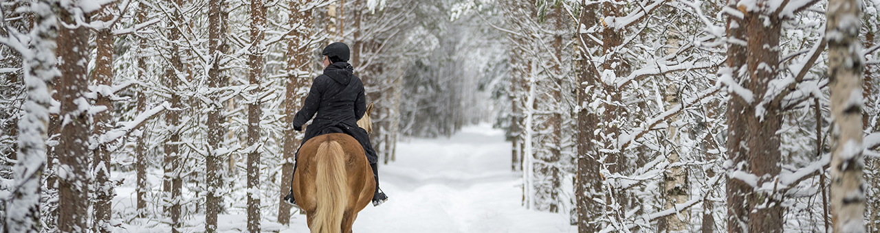 Hanazono Niseko 白銀世界的騎馬體驗之旅