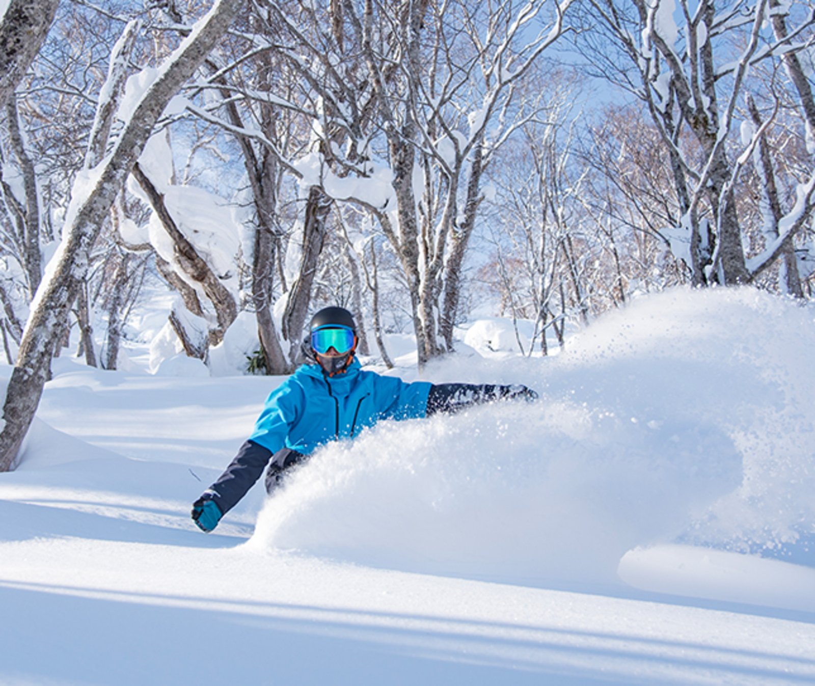 Hanazono Niseko リゾート概要