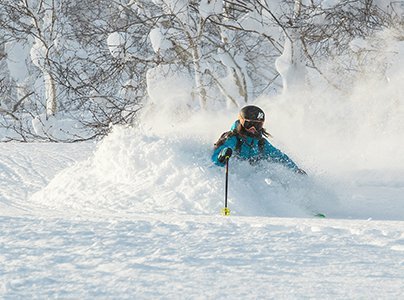 niseko powder tour